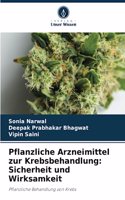 Pflanzliche Arzneimittel zur Krebsbehandlung