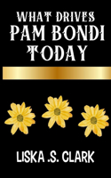 What Drives Pam Bondi Today