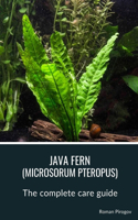 Java fern (microsorum pteropus): The complete care guide