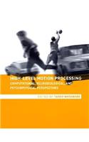 High-Level Motion Processing: Computational, Neurobiological, and Psychophysical Perspectives