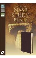 Zondervan Study Bible-NASB