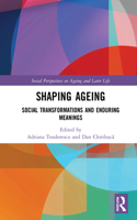 Shaping Ageing: Social Transformations and Enduring Meanings(Social Perspectives on Ageing and Later Life)