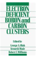 Electron Deficient Boron and Carbon Clusters