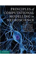 Principles of Computational Modelling in Neuroscience