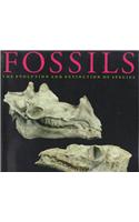 Fossils