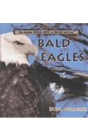 Bald Eagles