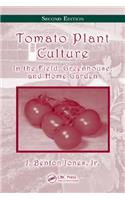 Tomato Plant Culture