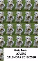 Cesky Terrier Lovers Calendar 2019-2020