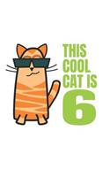 This Cool Cat is 6