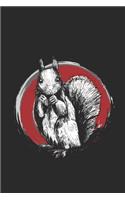 Circle Squirrel