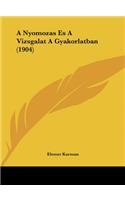 A Nyomozas Es a Vizsgalat a Gyakorlatban (1904)