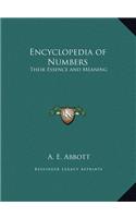 Encyclopedia of Numbers: Their Essence and Meaning