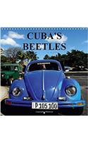 Cuba's Beetles 2017