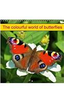 Colourful World of Butterflies 2018