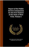 Report of the Public Service Commission for the First District of the State of New York, Volume 1