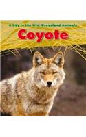 Coyote. Louise Spilsbury