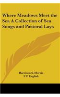 Where Meadows Meet the Sea A Collection of Sea Songs and Pastoral Lays