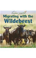 Migrating with the Wildebeest