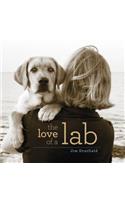 The Love of a Lab