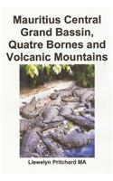 Mauritius Central Grand Bassin, Quatre Bornes and Volcanic Mountains: A Souvenir Collection of Colour Photographs with Captions