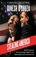 Stealing America