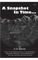 Snapshot In Time