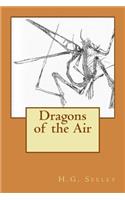 Dragons of the Air