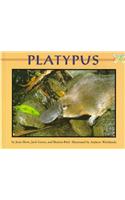 Platypus