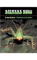 Bizarre Bugs