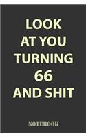 Look At You Turning 66 and Shit