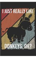 I Just Really Like Donkeys, OK?
