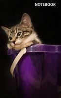 Notebook: Cat, Journal for Writing, College Ruled, Lined Notebook, Soft Cover, Matte, Size 6"x 9" inches, 120 Pages