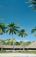 2020 Weekly Planner Palm Tree Vacation Travel 134 Pages