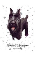 Standard Schnauzer 2020 Planner: Dated Weekly Diary With To Do Notes & Dog Quotes