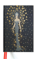 Erté Starstruck (Blank Sketch Book): (15 Luxury Sketch Books)