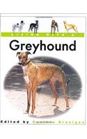 Living with a Greyhound