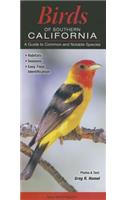 Birds of Southern California