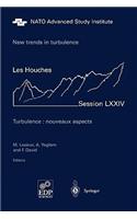 New Trends in Turbulence. Turbulence: Nouveaux Aspects