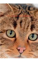 Die Tochter der Wildkatze