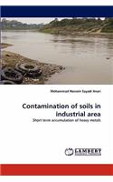 Contamination of Soils in Industrial Area