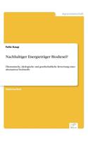 Nachhaltiger Energieträger Biodiesel?