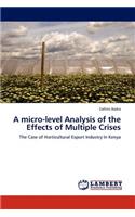 A Micro-Level Analysis of the Effects of Multiple Crises