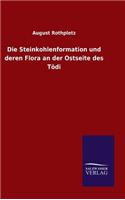 Steinkohlenformation und deren Flora an der Ostseite des Tödi