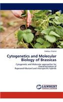 Cytogenetics and Molecular Biology of Brassicas
