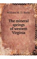 The Mineral Springs of Western Virginia