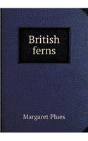 British ferns