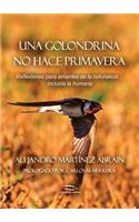Una Golondrina No Hace Primavera