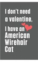 I don't need a valentine, I have a American Wirehair Cat