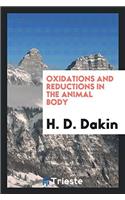 Oxidations and Reductions in the Animal Body