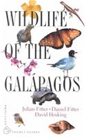 Wildlife of the Galapagos